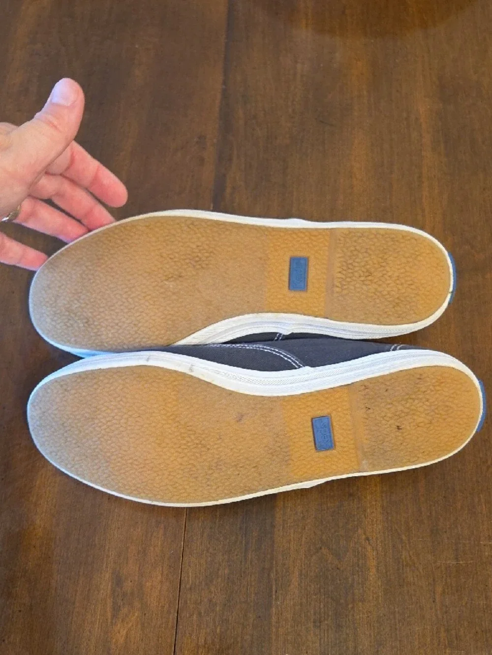 Keds Canvas Sneakers in Blue with White Accents